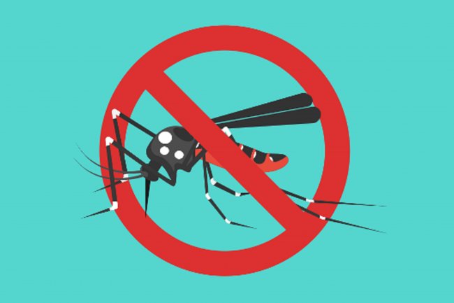 Kombate Denge: Uza Moskiteiru, Repelente, Roupa Liman Naruk no Evita Halihun Bee