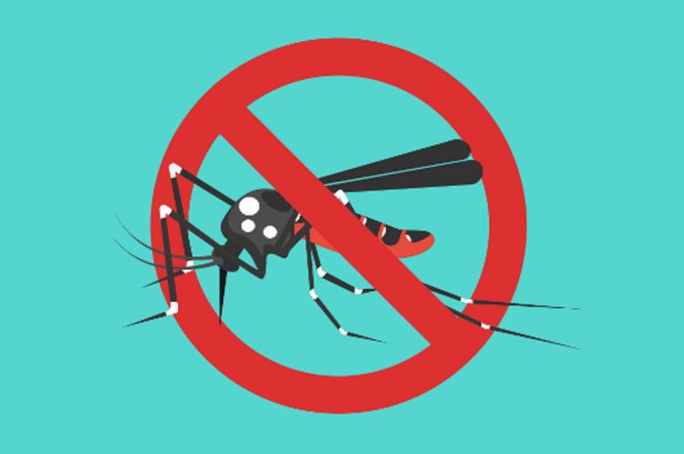 Fight Against Dengue: Use Mosquito Net, Repellents, Long Sleeves Clothes and Avoid Stagnant Waters