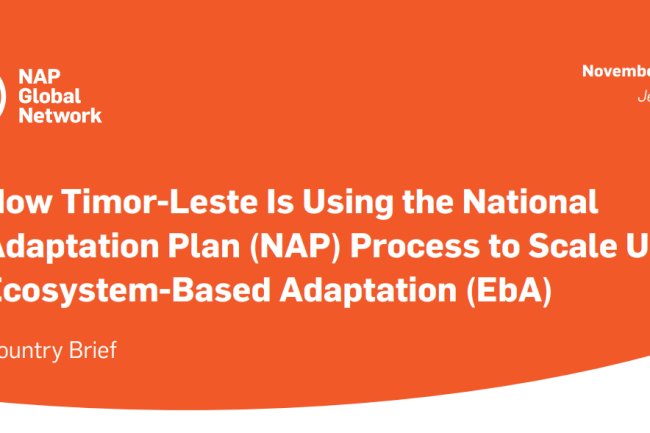 Timor-Leste National Adaptation Plan