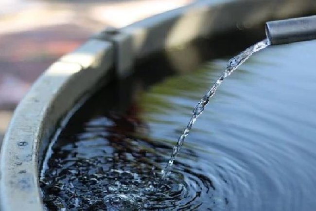 Ferik Ida Mate Tanba Bee, Iha Kelikai