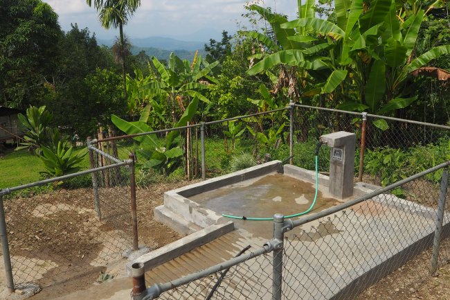 RHTO Manual Asesibilidade