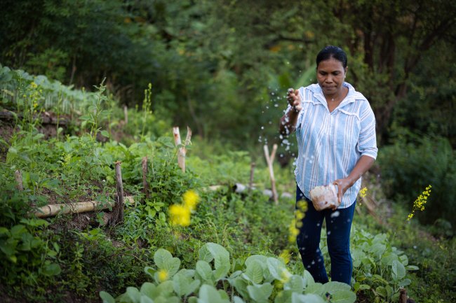 Brief Report - HALIRAS Project Reach 2023-2024