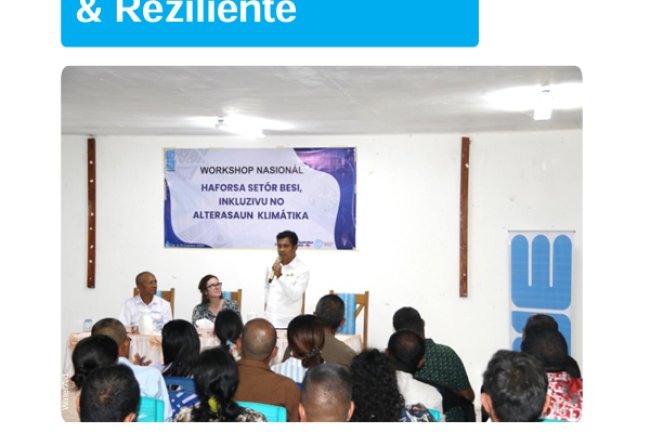 Relatoriu Sumariu Workshop Haforsa Setor BESI Inkluzivu no Reziliente