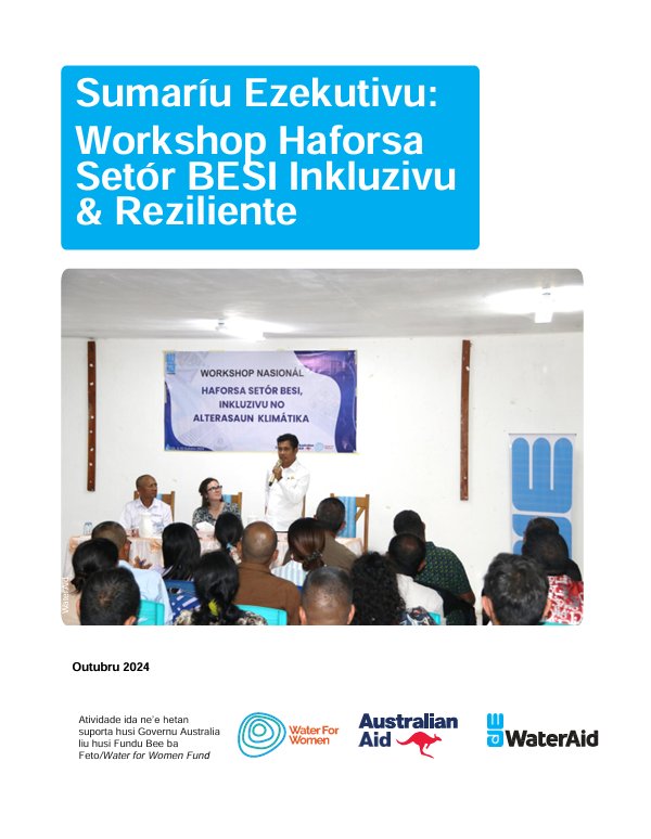 Relatoriu Sumariu Workshop Haforsa Setor BESI Inkluzivu no Reziliente